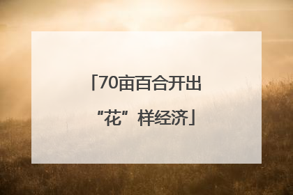 70亩百合开出“花”样经济
