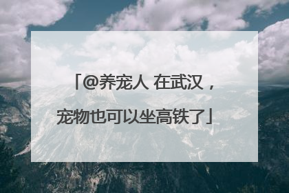 @养宠人 在武汉，宠物也可以坐高铁了