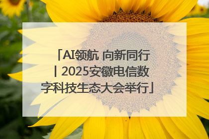AI领航 向新同行丨2025安徽电信数字科技生态大会举行