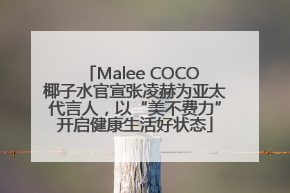 Malee COCO椰子水官宣张凌赫为亚太代言人，以“美不费力”开启健康生活好状态